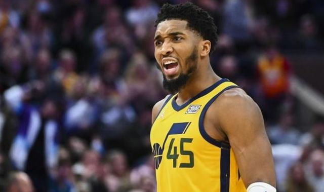 及华丽的生 及华丽的生