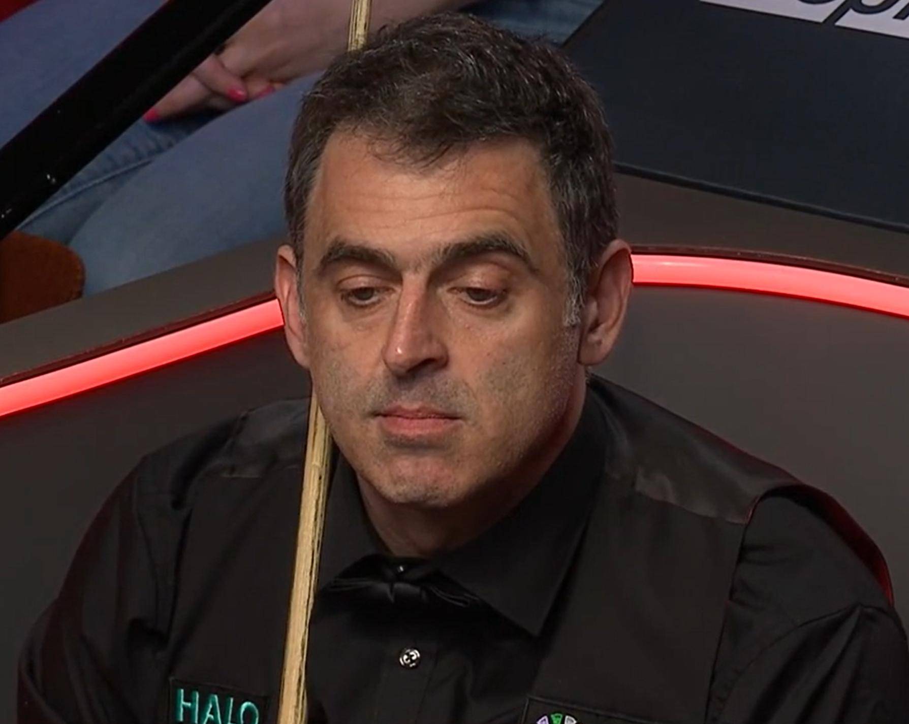 理解明星言 理解明星言