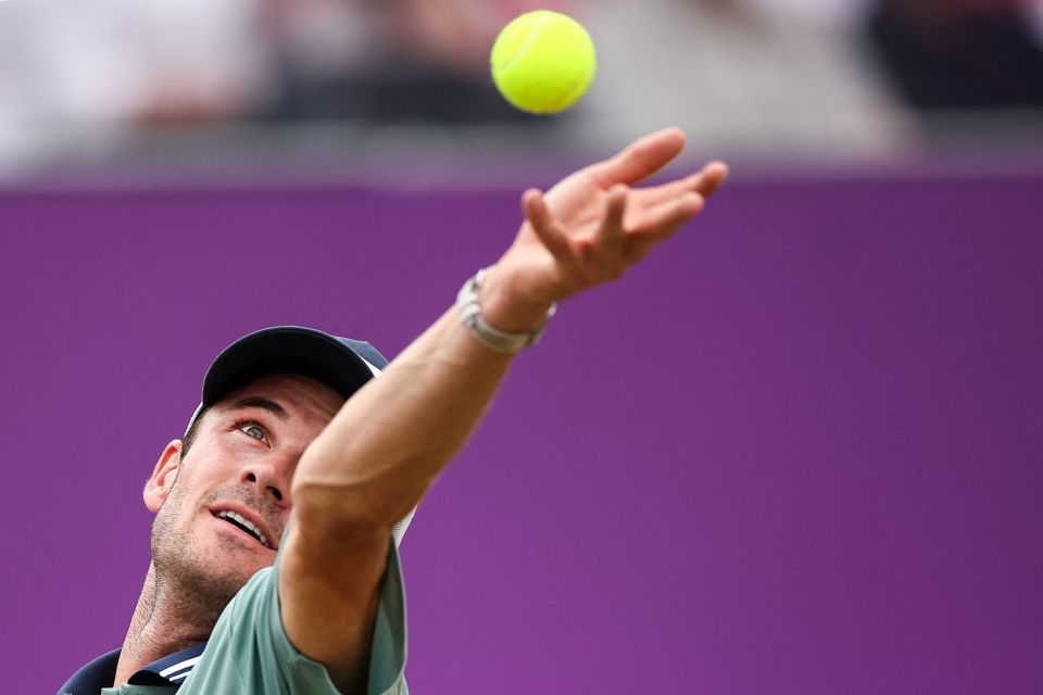 纵观整个事 纵观整个事