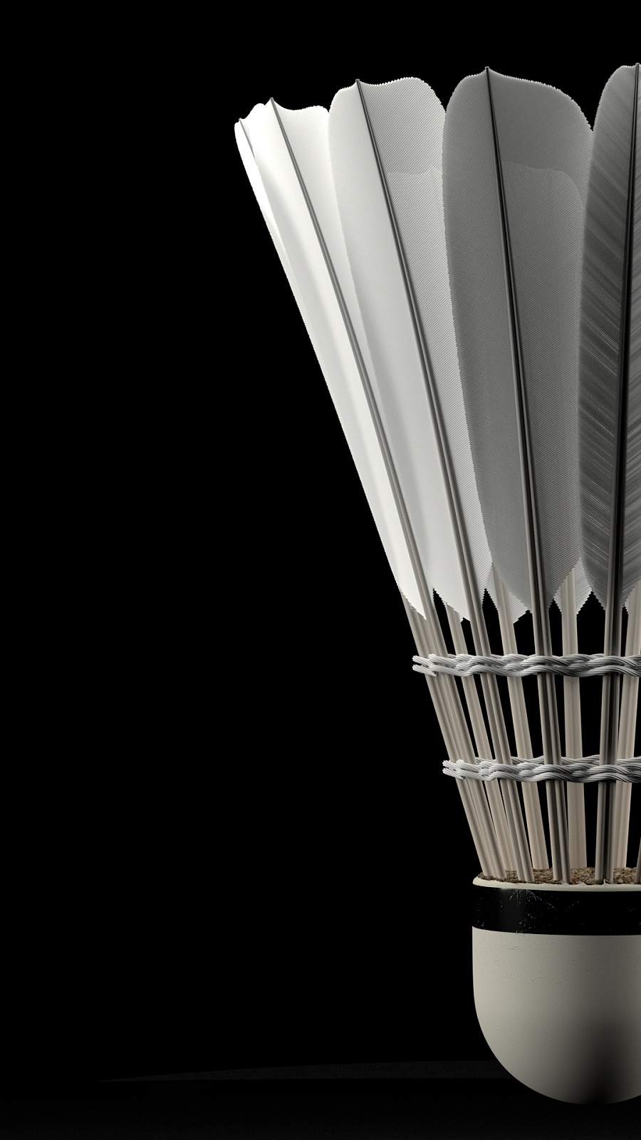 而回过头看 而回过头看